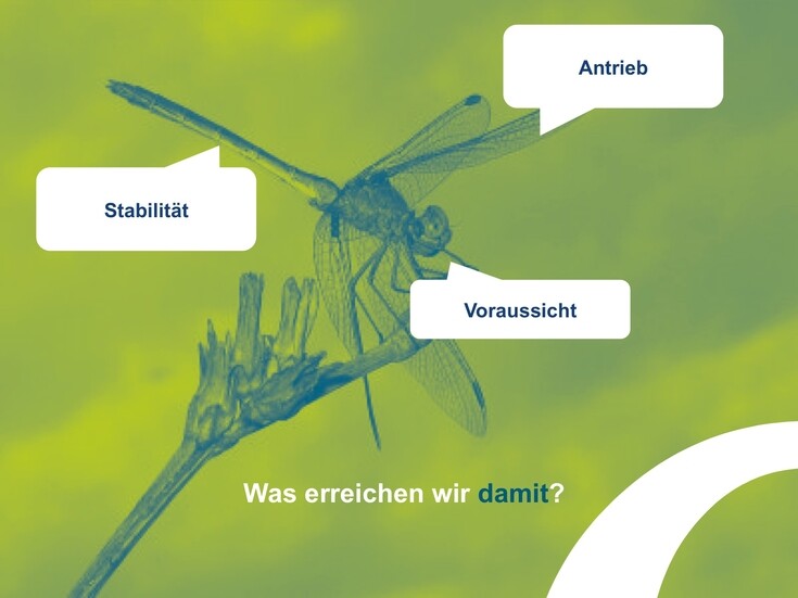 Referenzen Bilder PowerPoint-Präsentationen