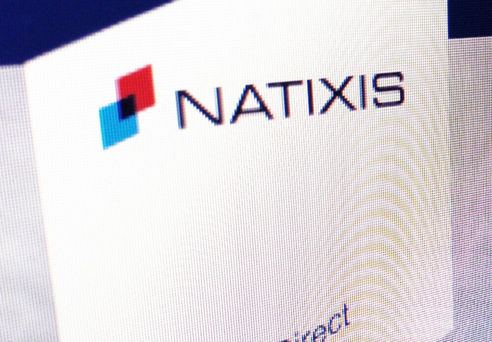 natixis_Website_Shot