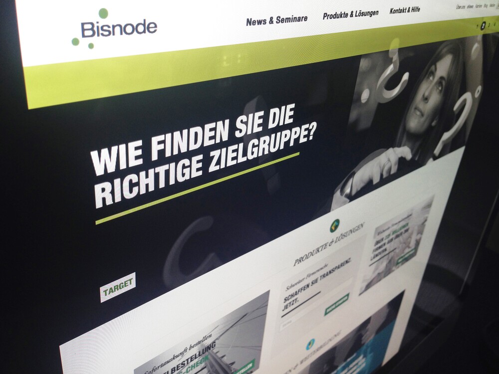 Bisnode_Website_Shot